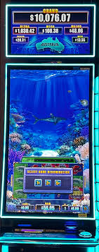 Bet Welcome Bonus